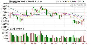 网络安全威胁持续上升推动IT安全服务与软件开发发展空间扩大